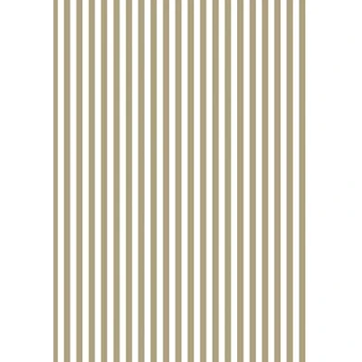 Abbildung von Clairefontaine 393810C Packung mit 4 Blätter Seidenpapier (50 x 70 cm, 18g/qm) 1 Pack streifen gold