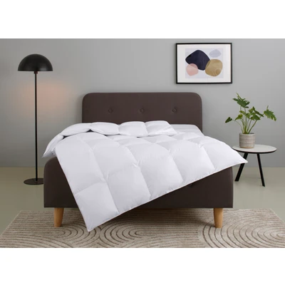 Abbildung von Home affaire Daunenbettdecke &quot;Litrone, Bettdecke 135x200 cm, 155x220 200x200 240x220 cm&quot;, warm, Füllung 100% Gänsedaunen, Bezug Baumwolle, (1 St.), Bettdecken, Sommer, Winter, Ganzjahresdecke, Decke, Made in Germany
