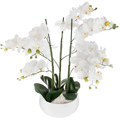 Abbildung von Orchid Topf Keramik weiß H65