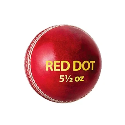 Abbildung von DSC Red Dot Leder Cricket Ball (Rot) Wasserdichtes