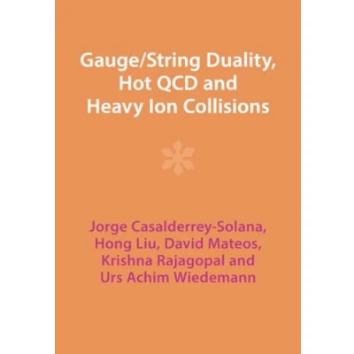 Abbildung von Gauge/String Duality, Hot QCD and Heavy Ion Collisions
