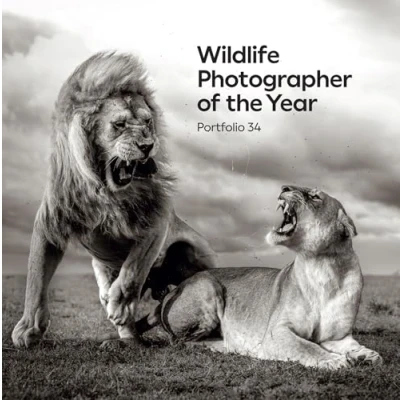 Abbildung von Wildlife Photographer of the Year: Portfolio 34: Volume 34 (Wildlife Year, 34)