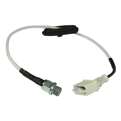 Abbildung von Sensor, Zylinderkopftemperatur METZGER 0905384
