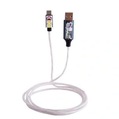 Abbildung von Rick &amp; Morty Light Up cUSB Charging Cable Shock!
