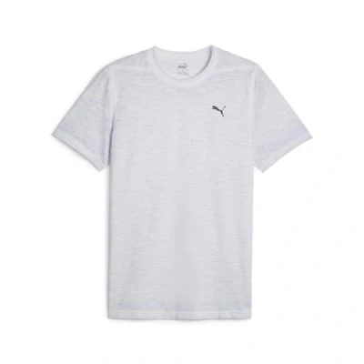 Abbildung von Puma Studio Foundation WASH TEE Sport Tshirt, Herren, Größe: XXL, Silver mist