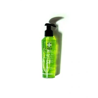 Abbildung von Olive Spa Aloe Vera Gel, 150 ml