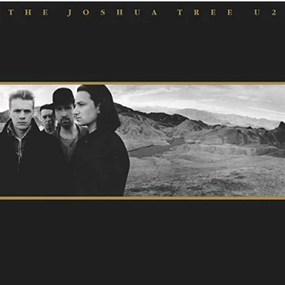 Abbildung von U2 The Joshua Tree (2 LP)