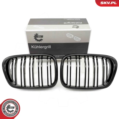 Abbildung von ESEN SKV 66SKV161 Kühlergrill glänzend, schwarz BMW: 5 Limousine
