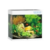 Abbildung von Juwel Aquarium Lido 120 Led 61x41x58 cm Aquarien Wei Ca. L...