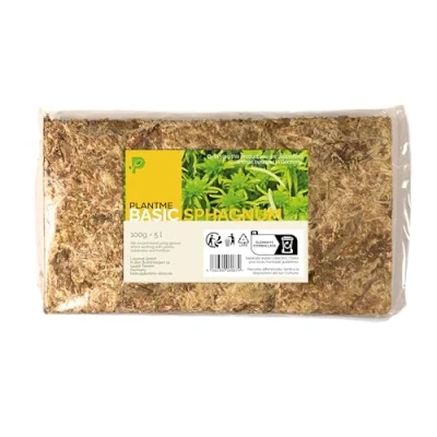 Abbildung von PlantMe Sphagnum Moos für Zimmerpflanzen und Rankstäbe, ergibt 10L (100g)