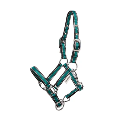 Abbildung von Kavalkade Shetland Halfter Shorty