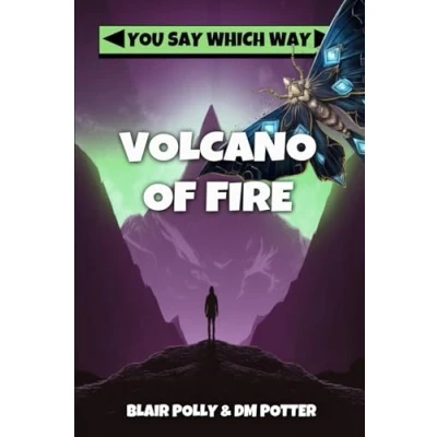 Abbildung von Volcano of Fire (You Say Which Way, Band 3)