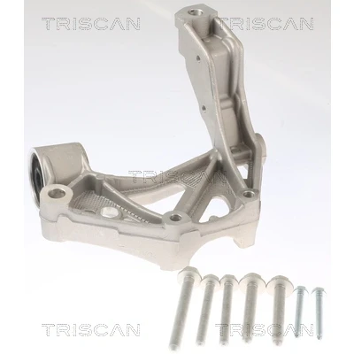 Abbildung von TRISCAN 8500 295262 Lagerbock, Achskörper VOLKSWAGEN: Polo IV Schrägheck, SKODA: Fabia 1 Combi