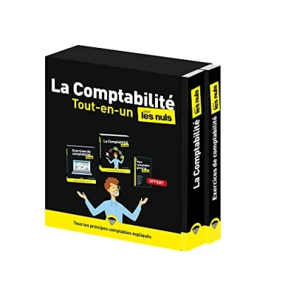 Abbildung von La Comptabilité Tout en un pour les Nuls, 2e éd: Coffret 2 volumes