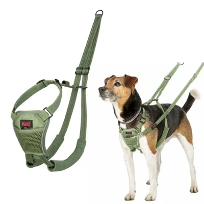 Abbildung von HALTI No Pull Anti Zug Geschirr Verhindert, DASS Ihr Hund an der Leine zieht, Gepolsterter Brust und Beingurt, Reflektierendes Gurtmaterial, Einfache Anpassung Benutzung (Größe XS, Waldgrün)