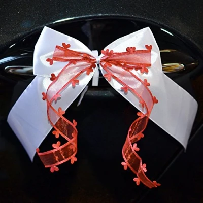Abbildung von Miya@ 10 hochwertige Handgemacht Weiss Antenneschleifen mit Herzschleifen aus Satin, Auto Schleifen, Hochzeit Deko, Autoschmuck (wassermelonerot)