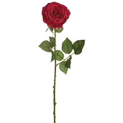 Abbildung von mucplants Künstliche Edelrose Rot Höhe 66cm Kunstblumen Seidenblumen Blumen Dekopflanze