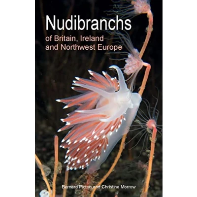 Abbildung von Nudibranchs of Britain, Ireland and Northwest Europe: Second Edition (Wild Nature Press)