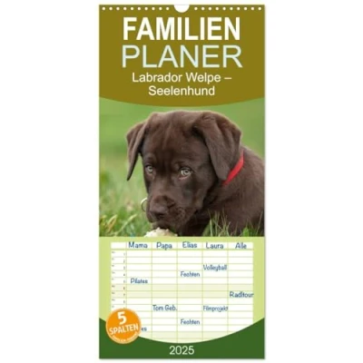 Abbildung von Familienplaner 2025 Labrador Welpe Seelenhund mit 5 Spalten (Wandkalender, 21 cm x 45 cm), CALVENDO