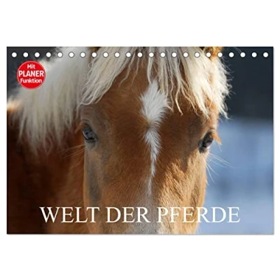 Abbildung von Welt der Pferde (Tischkalender 2025 DIN A5 quer), CALVENDO Monatskalender