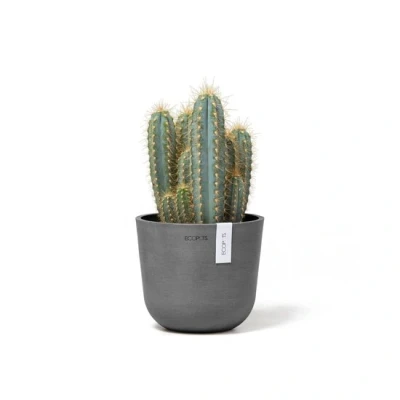 Abbildung von Ecopots Oslo mini 16 cm grau Pflanzentopf/Blumentopf