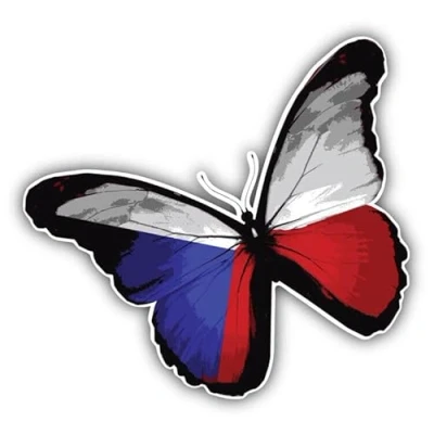 Abbildung von WildeBabsKLBT 11cm 2xHochwertiger Auto Aufkleber Sticker Decal Autoaufkleber Folie Wunschtext Czech Republic Flagge Fahne Wappen Butterfly Schmetterling G1315