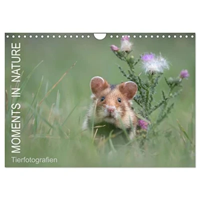 Abbildung von Moments in Nature (Wandkalender 2025 DIN A4 quer), CALVENDO Monatskalender