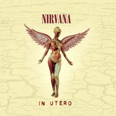 Abbildung von Nirvana In Utero (Reissue) (Remastered) (CD)