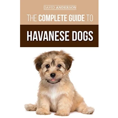 Abbildung von The Complete Guide To Havanese Dogs: Everything You Need Know Successfully Find, Raise, Train, and Love Your New Puppy