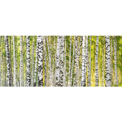 Abbildung von Architects Paper Fototapete &quot;Birch Forest&quot;, Vlies, Wand, Schräge