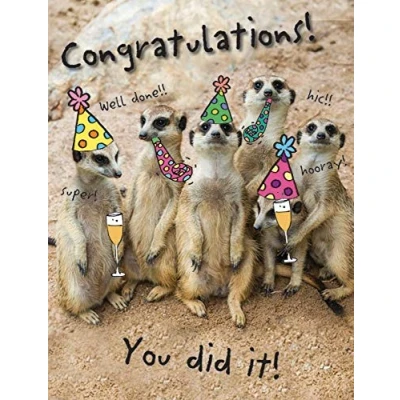 Abbildung von Humor Occasion Card Congratulations Glückwunschkarte 20,3 x 15,2 cm Piccadilly Greetings