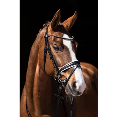 Abbildung von HKM Zaum Flora Schwarz Warmblut