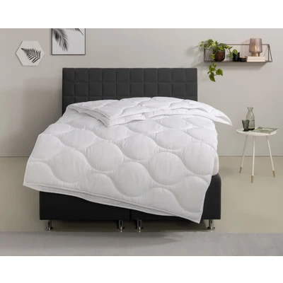 Abbildung von Home affaire Microfaserbettdecke &quot;Angly, Bettdecke 135x200 cm und 155x220 cm&quot;, leicht, Füllung Polyester, Bezug (1 St.), Bettdecken, Sommer, Winter, Decke, Allergiker geeignet (Hausstaub)
