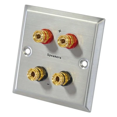Abbildung von Dynavox Doppelter Lautsprecher Wallplate Silber
