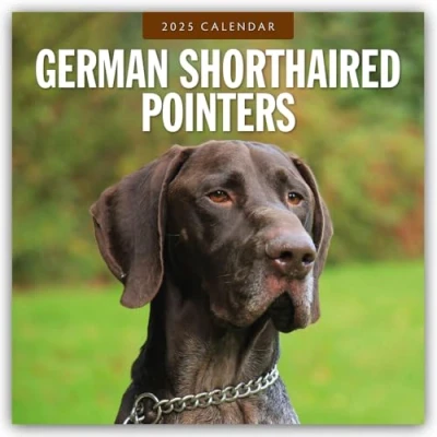 Abbildung von German Shorthaired Pointers Deutscher Kurzhaar Kurzhaariger Vorstehhund 2025 16 Monatskalender: Original Red Robin Publishing Ltd Kalender [Mehrsprachig] [Kalender] (Wall Kalender)