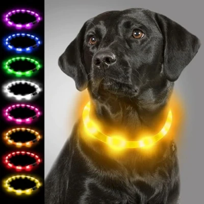 Abbildung von Joytale Leuchthalsband Hund USB Aufladbar Hundehalsband Leuchtend für Große Mittel Kleine Hunde und Welpe, Led Halsband mit 3 Modi Sicherheit, Gelb