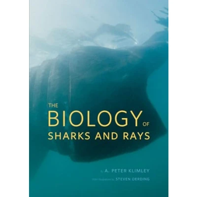 Abbildung von The Biology of Sharks and Rays (Emersion: Emergent Village resources for communities faith)