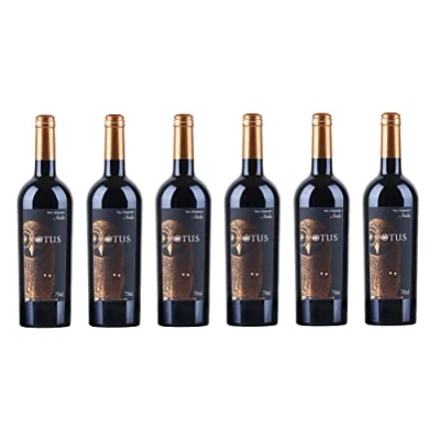 Abbildung von 6x 0,75l Asio Otus Rosso Vino d&#039;Italia Italien Rotwein lieblich