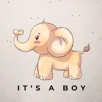 Abbildung von It&#039;s a Boy Gästebuch Babyparty Elefant Junge Buch Babyshower Erinnerung Baby Party Gastgeschenk Geschenk für werdende Eltern zur Geburt: blanko 80 Seiten 21cm x (quadratisch)