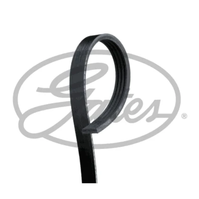 Abbildung von GATES 4PK1008HD Keilrippenriemen 1008 4 Polyester, EPDM (Ethylen Propylen Dien Kautschuk)