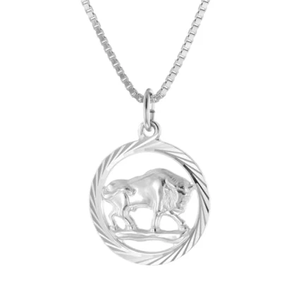 Abbildung von trendor 15360 05 Stier Sternzeichen Halskette Silber 925