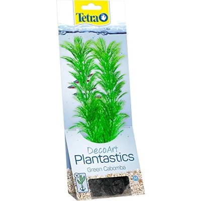 Abbildung von Pflanze TETRA Green Cabomba M.