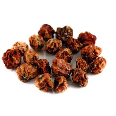 Abbildung von Ebereschenbeeren BIO, ganz 500g von Dragonspice Naturwaren,