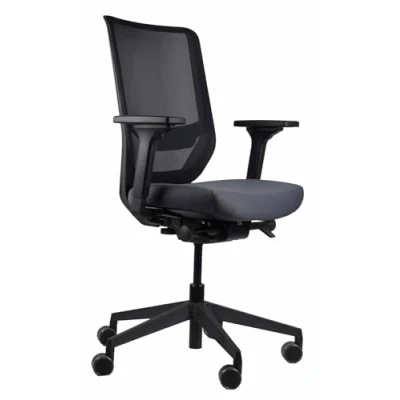 Abbildung von Trendoffice to sync pro, ergonomischer Bürostuhl, mit Armlehnen, modernes Design, Homeoffice, umweltzertifiziert, by Dauphin (Schwarz/Grau, Netz Rückenlehne)