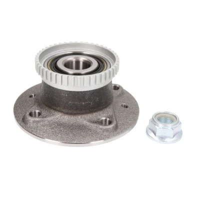Abbildung von KRAFT 4105161 Radlagersatz Hinterachse mit ABS Sensorring RENAULT: Megane Scenic, Scénic 1, I Grandtour