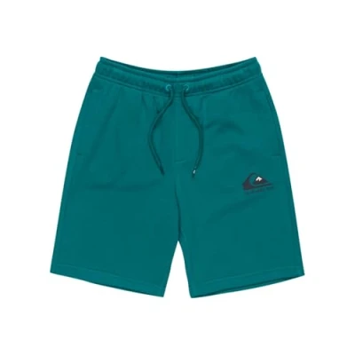 Abbildung von Quiksilver EASY DAY Jogger Youth Jogginghose für Kinder, Größe: 152, Teal green