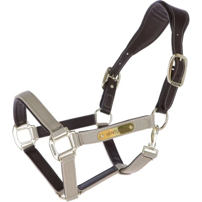 Abbildung von Kentucky Halfter Anatomic Nylon Beige Vollblut Agradi.deVerkauft von Agradi