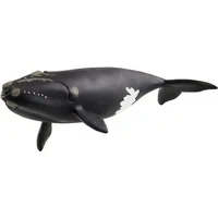 Abbildung von Schleich® Spielfigur WILD LIFE, Nordatlantischer Glattwal (14878)