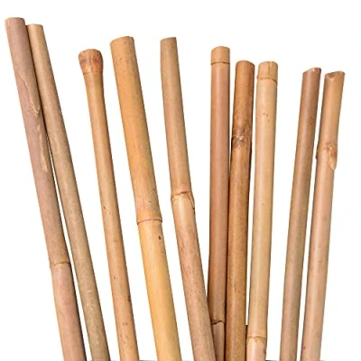 Abbildung von UNUS Bambusstäbe, 10 Pflanzstäbe aus Bambus, 120 cm lang, Rankhilfe für Zimmerpflanzen oder im Garten Gurken, Tomaten