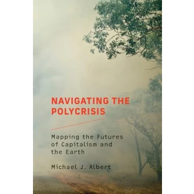 Abbildung von Navigating the Polycrisis: Mapping Futures of Capitalism and Earth